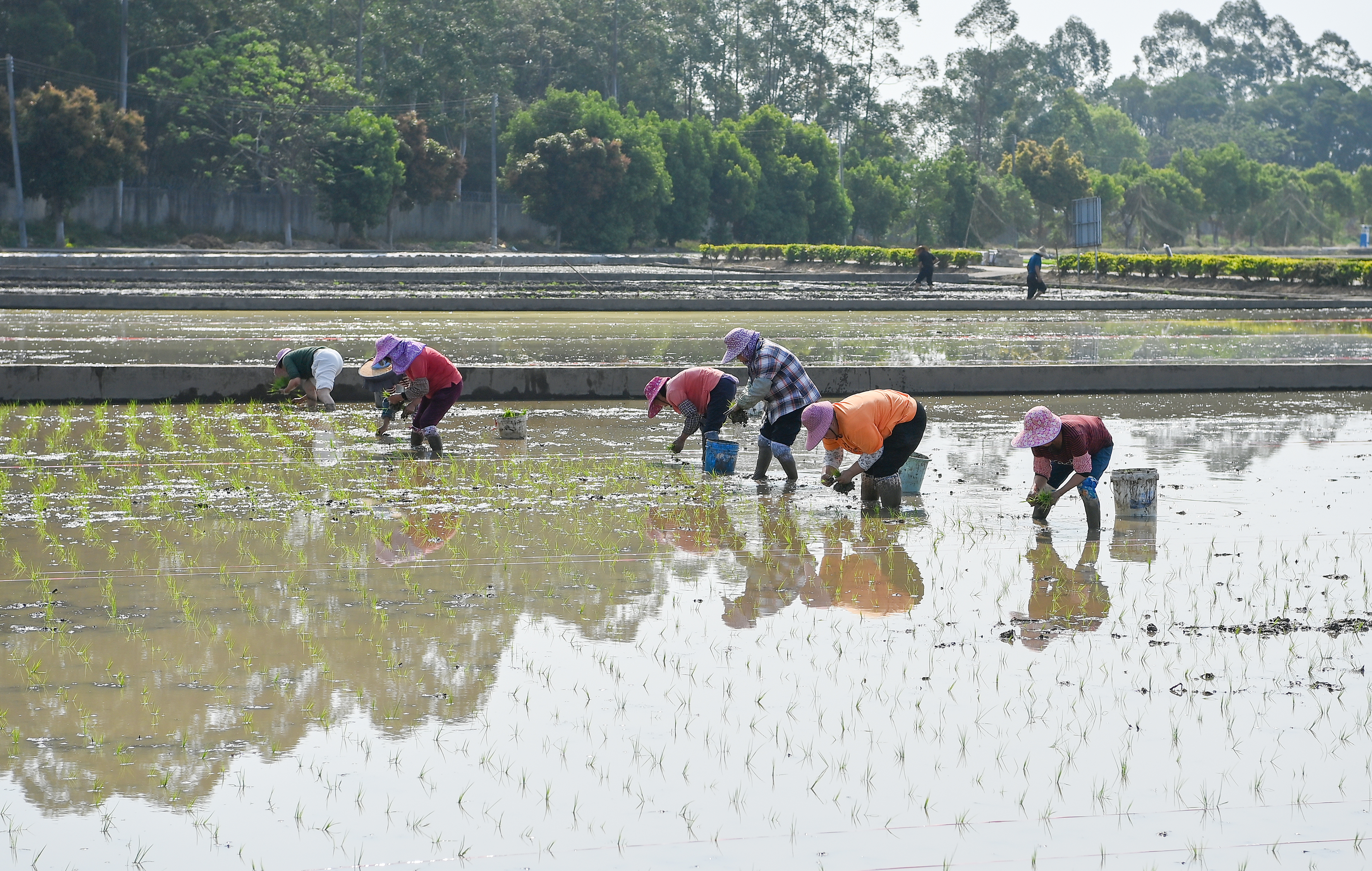 DSC_3403 拷貝(1).jpg