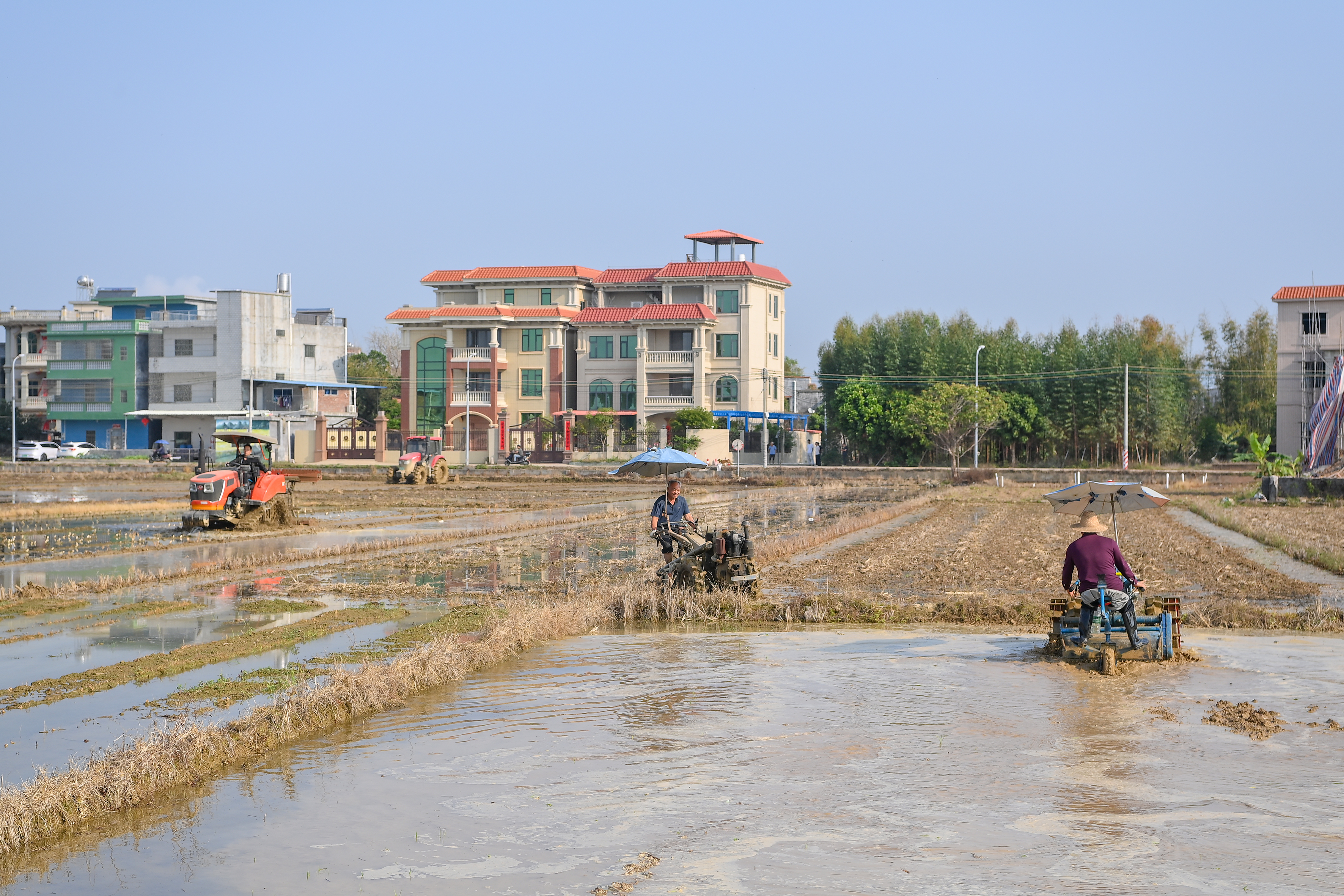 DSC_2675 拷貝(1).jpg